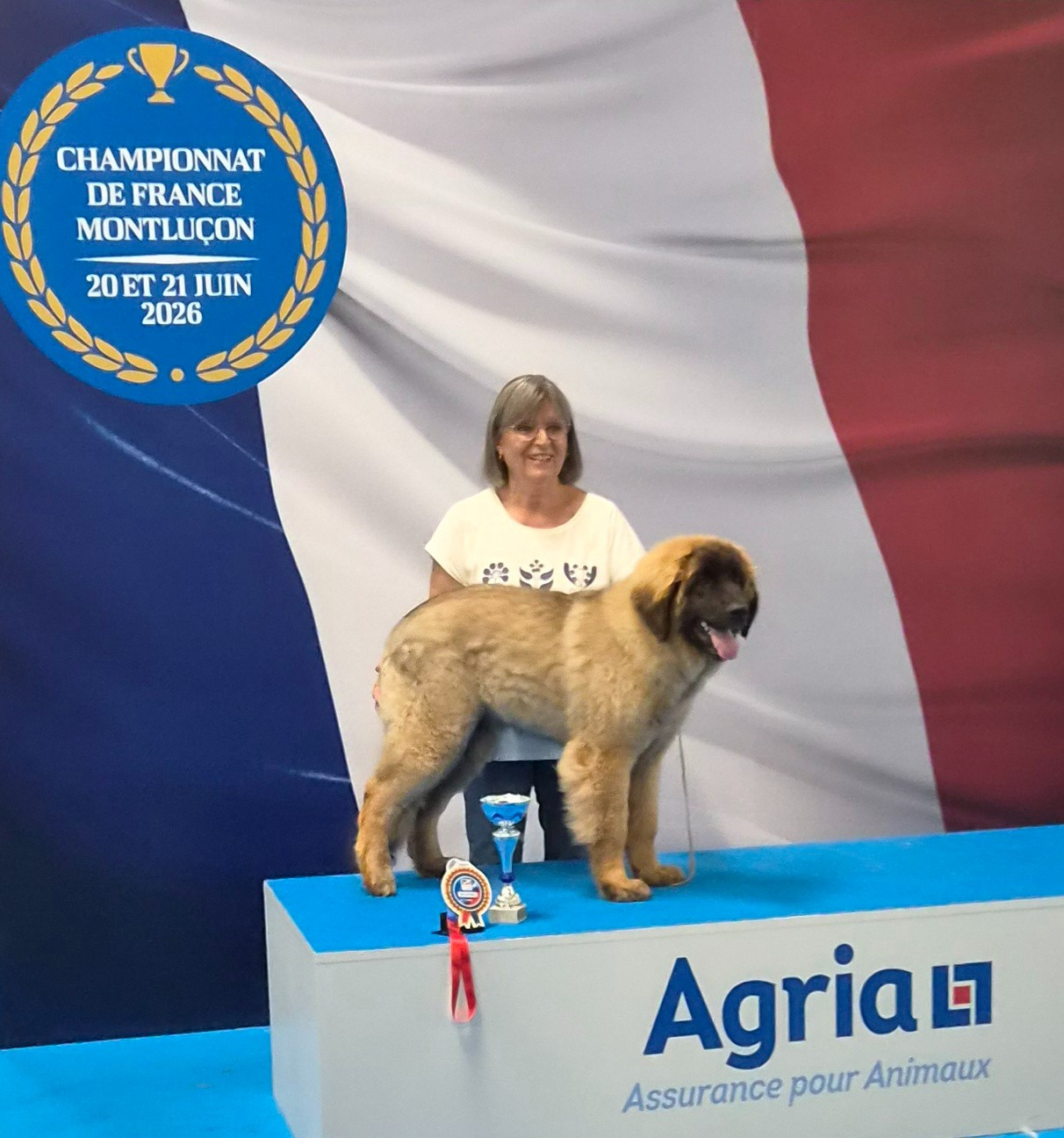 des Géants de l'Ange Blanc - B'NABOO IDEAL LOVE DES GEANTS DE L'ANGE BLANC AUX CHAMPIONNATS DE FRANCE